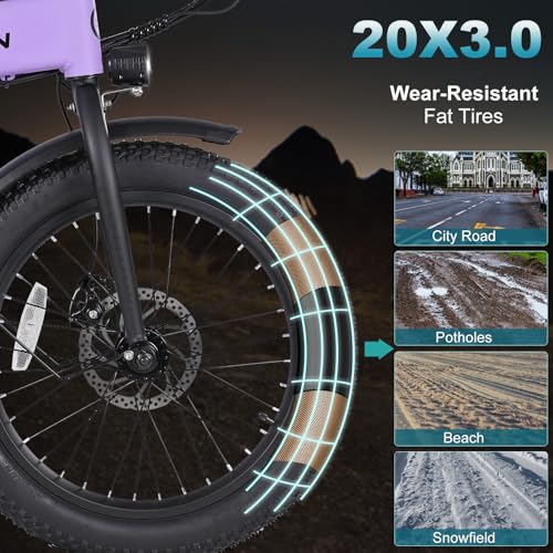 Folding Electric Bike for Adults, 20×3.0 Fat Tire Electric Bicycle, 374.4Wh Battery Ebike, 20MPH Electric Cargo Bike with LCD Color Display & 6 Speed Gears (Fits for 5'0+)