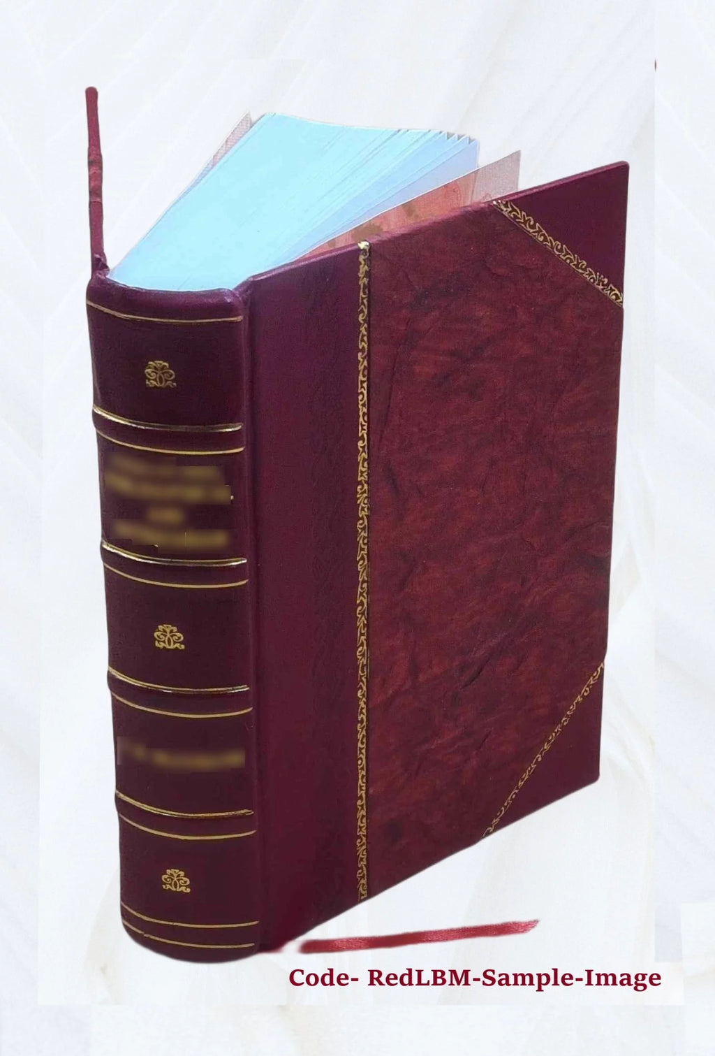 Eléments de médecine clinique Volume v.2 1857 [Leather Bound]