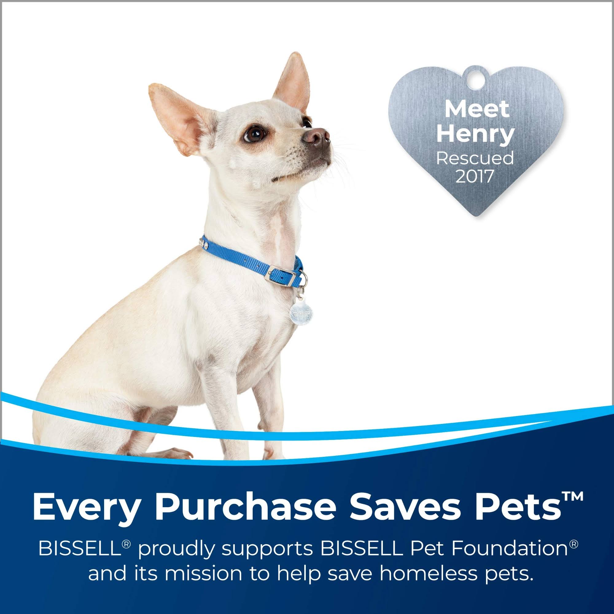 Bissell Pet Stain Eraser PowerBrush, 2837