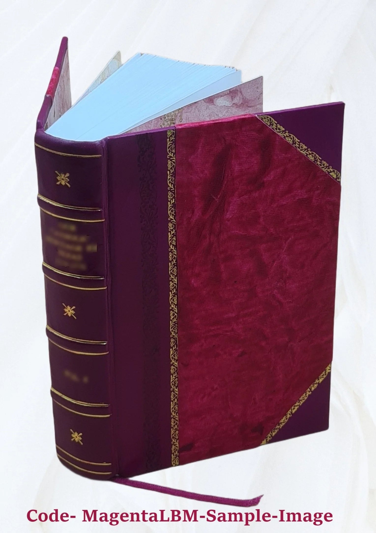 Eléments de médecine clinique Volume v.2 1857 [Leather Bound]