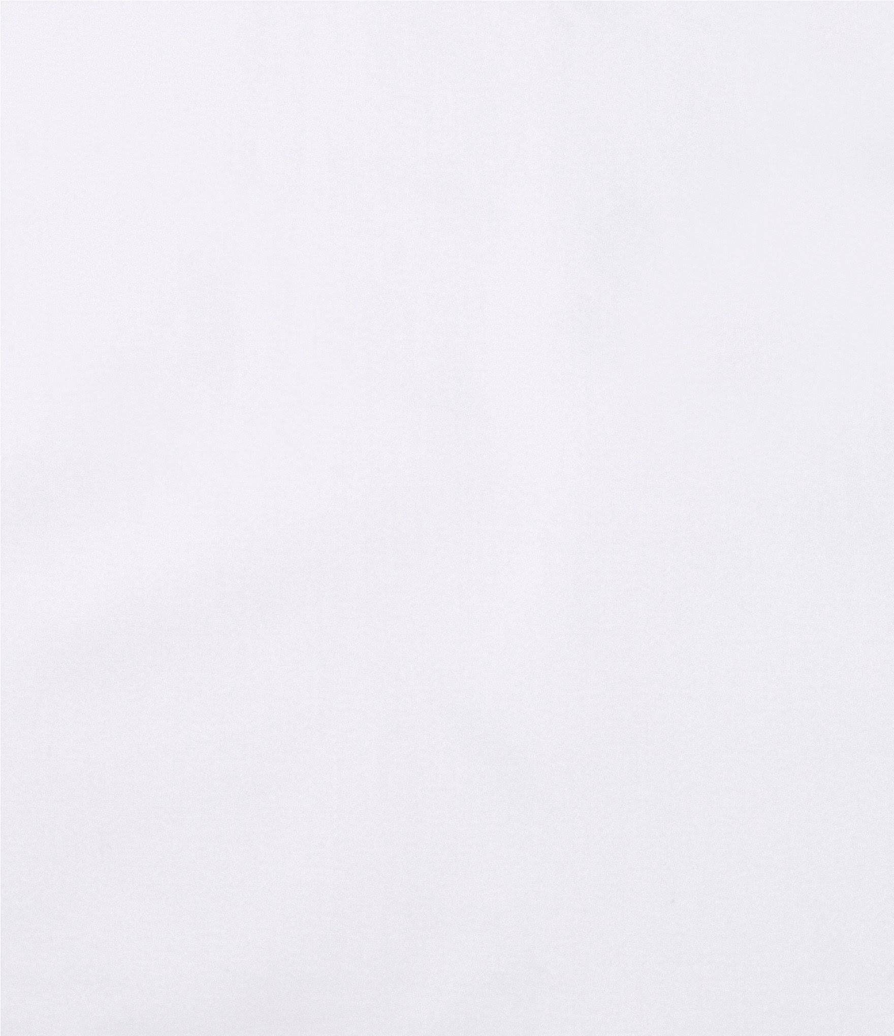 Southern Living Heirloom Sateen Twill Euro Sham - White