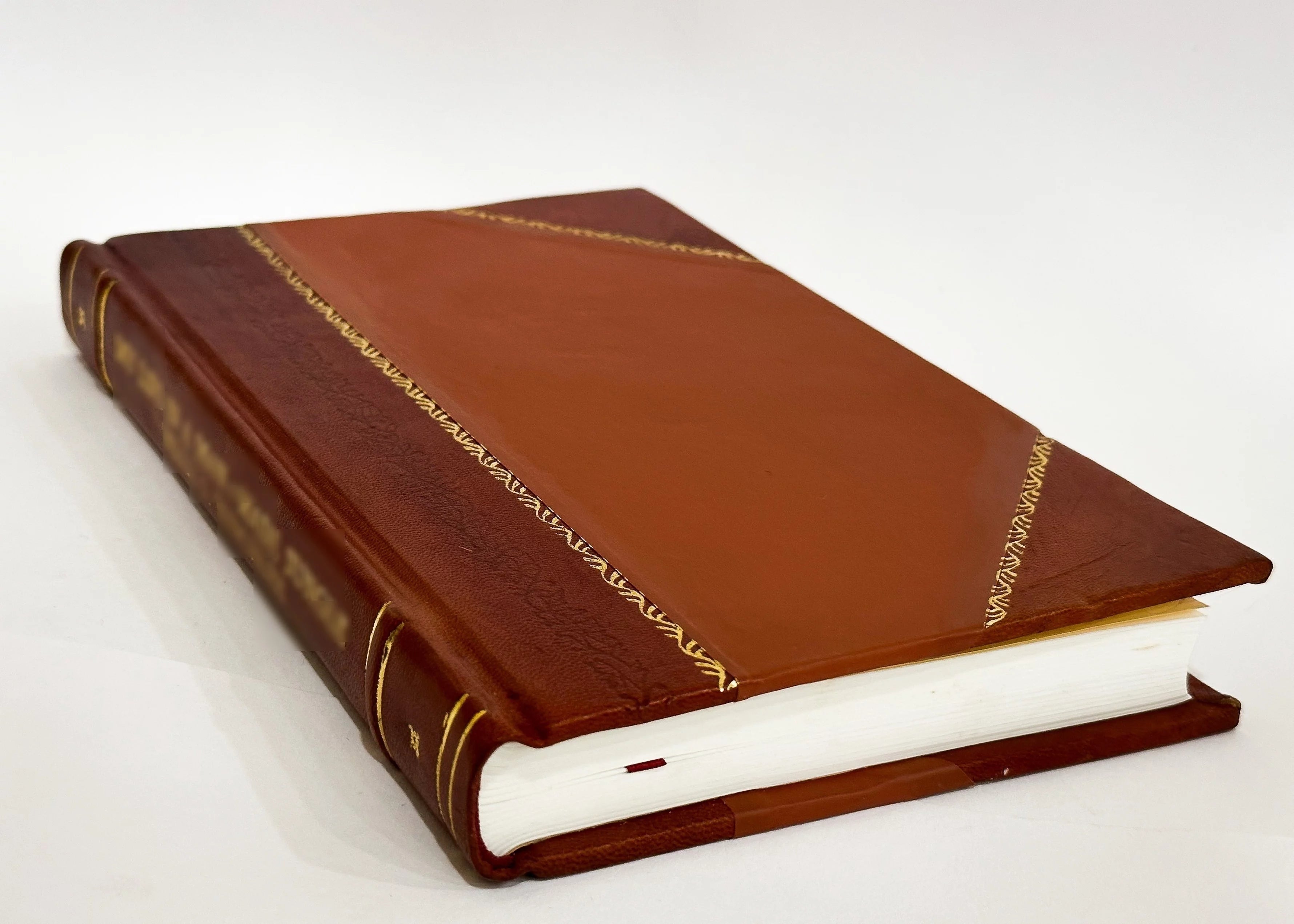 Germania Triumphans Sub Aquila Austriae Oder Beweisthum ... / 1745 Edition (1745) [Leather Bound]