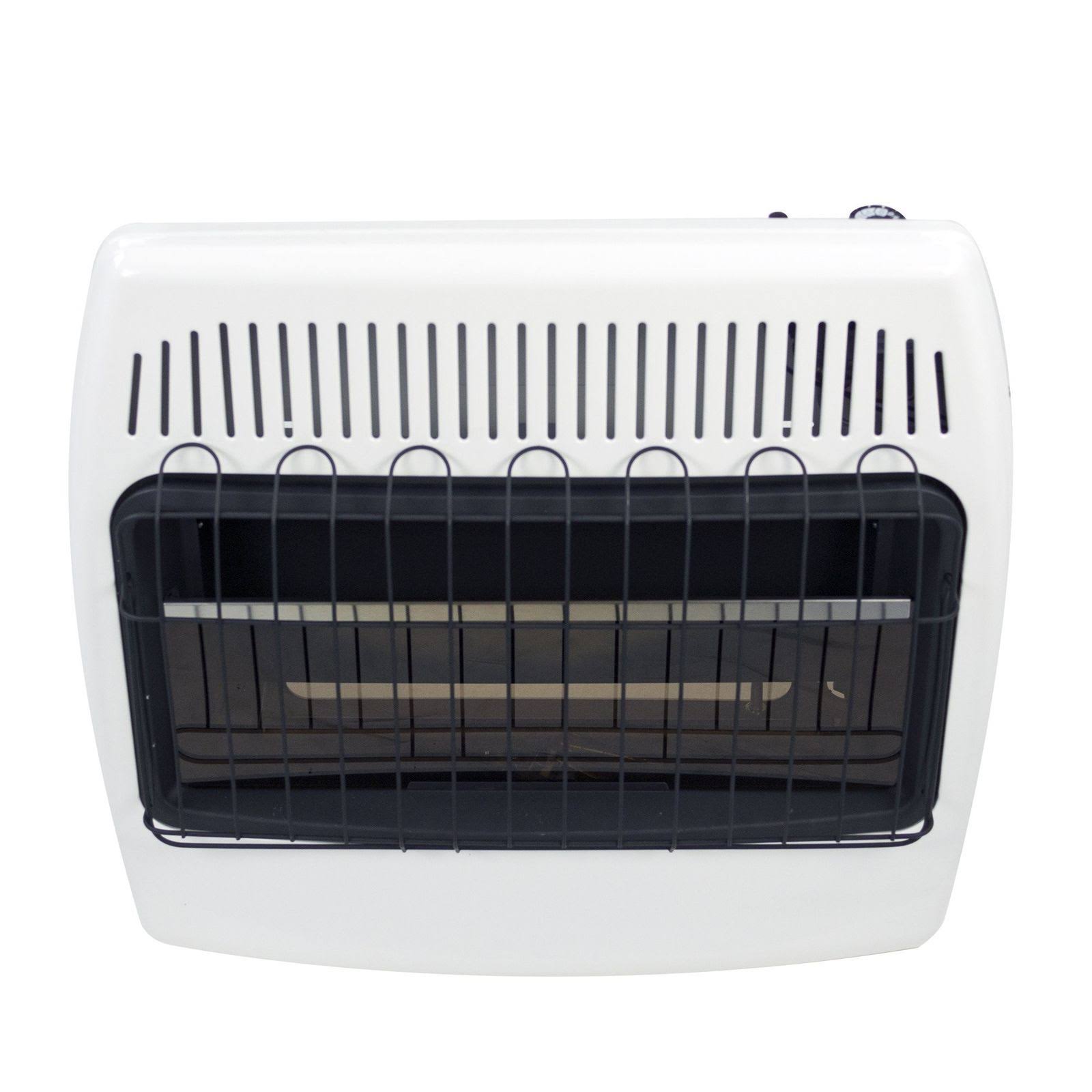 Dyna-Glo BF30NMDG 30,000 BTU Blue Flame Natural GAS Vent Free Wall Heater