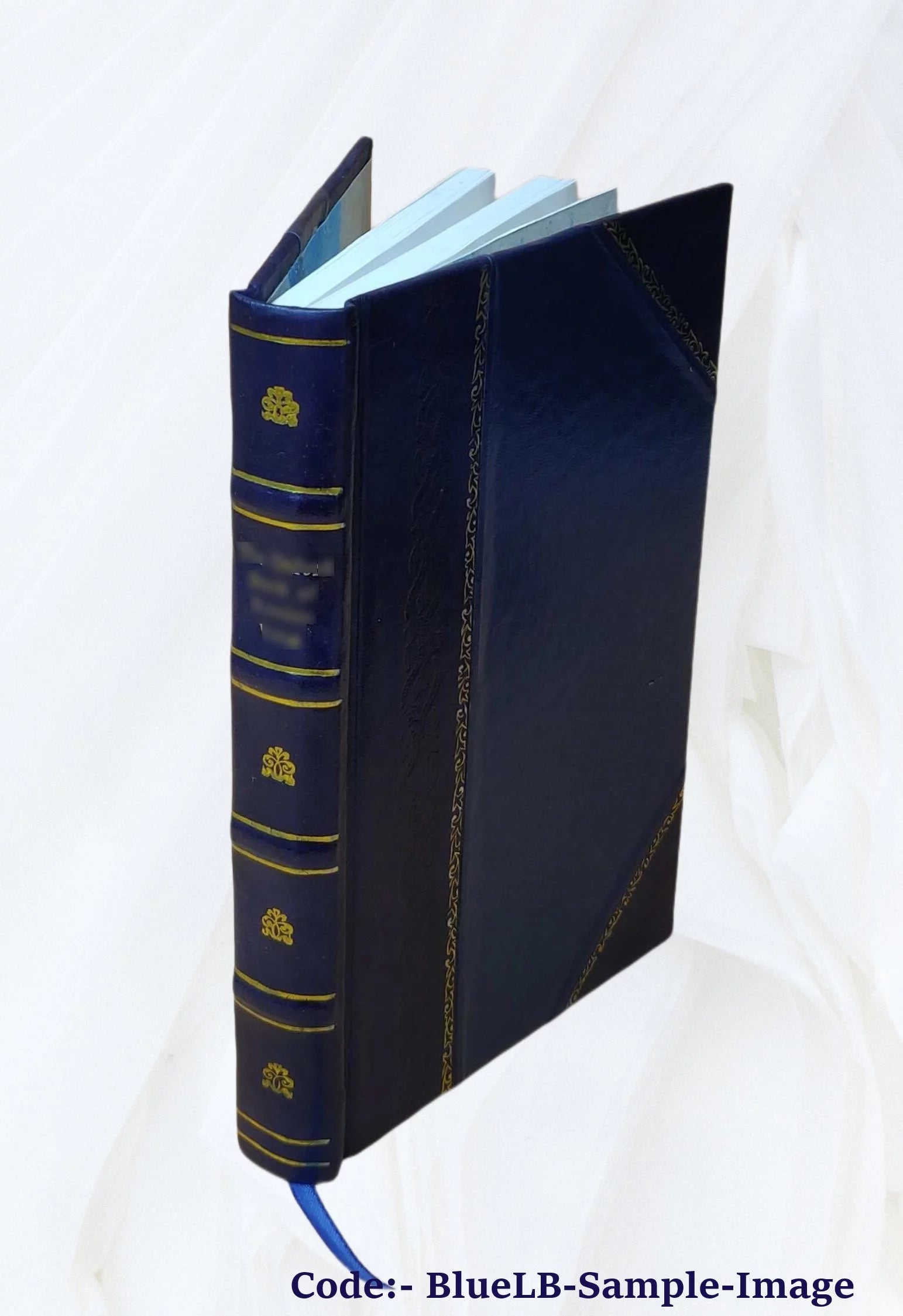 Vorarbeiten, Erd-, Grund-, Strassen- und Tunnelbau Volume 2 1905 [Leather Bound]