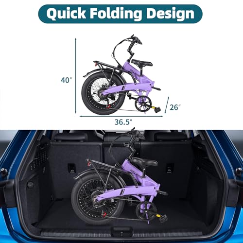 Folding Electric Bike for Adults, 20×3.0 Fat Tire Electric Bicycle, 374.4Wh Battery Ebike, 20MPH Electric Cargo Bike with LCD Color Display & 6 Speed Gears (Fits for 5'0+)